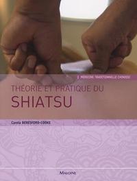 Image de theorie et pratique du shiatsu