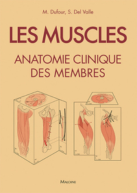Picture of Les muscles : anatomie clinique des membres
