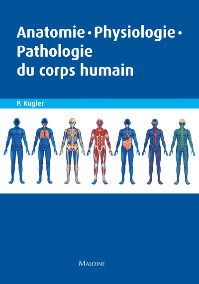 Image de ANATOMIE, PHYSIOLOGIE, PATHOLOGIE DU CORPS HUMAIN
