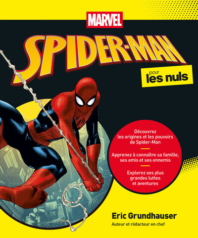 Picture of Spider-Man pour les Nuls
