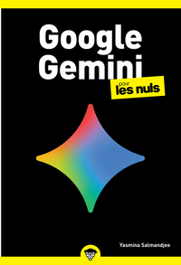 Picture of Google Gemini poche pour les Nuls