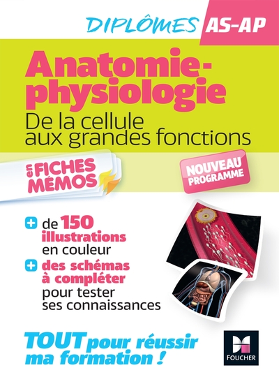 Picture of Anatomie-physiologie - De la cellule aux grandes fonctions