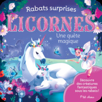 Image de Rabats surprises   Licornes