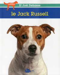 Image de Le Jack Russell terrier