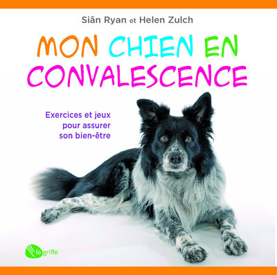 Image de Mon chien en convalescence