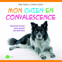 Image de Mon chien en convalescence
