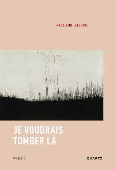Image de JE VOUDRAIS TOMBER LA