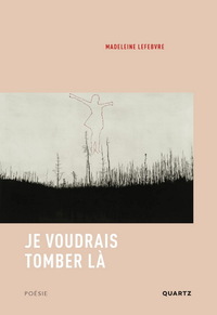 Image de JE VOUDRAIS TOMBER LA