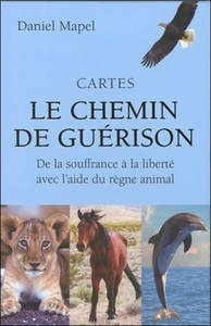 Picture of Cartes le chemin de guérison