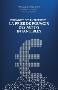 Picture of Pérennité des entreprises : La prise de pouvoir des actifs intangibles