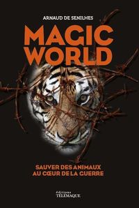 Picture of Magic world