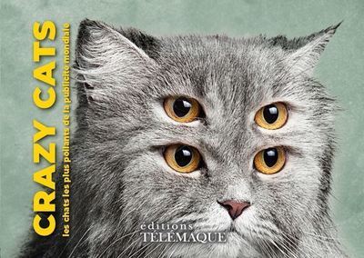 Image de Crazy cats