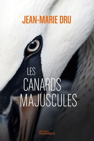 Image de Les canards majuscules