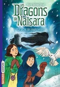 Image de Les dragons de Nalsara, Tome 07