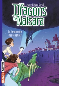 Image de Les dragons de Nalsara, Tome 03