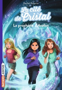 Image de La cité de cristal, Tome 05