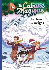 Image de La cabane magique, Tome 41