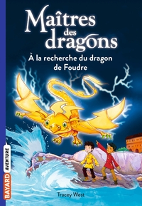 Picture of Maîtres des dragons, Tome 07