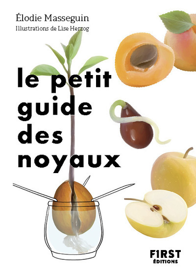 Image de Le Petit Guide des noyaux