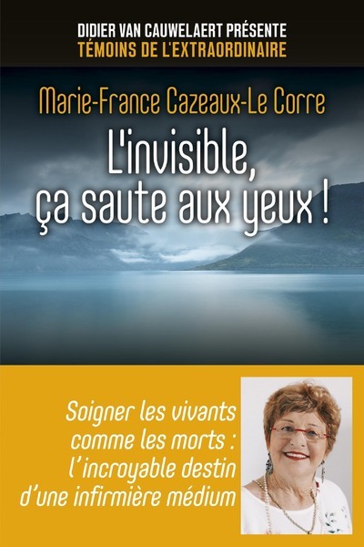 Image de L'invisible, ça saute aux yeux !