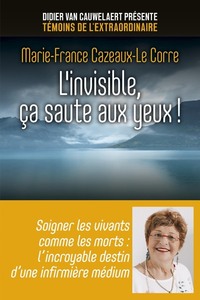 Image de L'invisible, ça saute aux yeux !