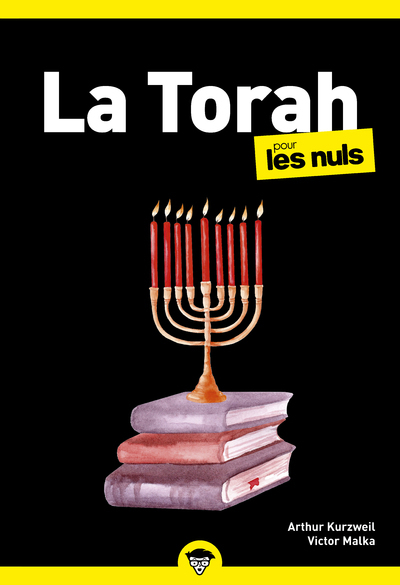 Image de La Torah pour les Nuls, poche