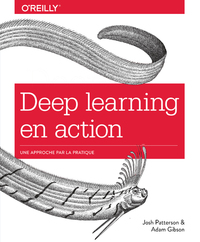 Picture of Deep Learning en action