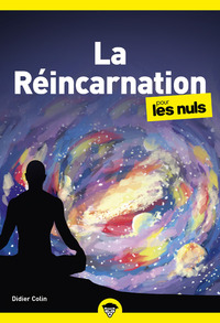 Picture of La réincarnation pour les Nuls, poche
