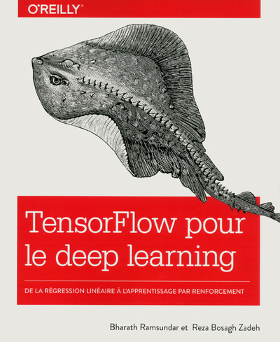 Image de TensorFlow pour le Deep learning