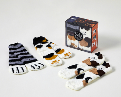 Image de Coffret Les goûters de la famille Chat chaussettes, 2e éd