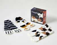 Image de Coffret Les goûters de la famille Chat chaussettes, 2e éd