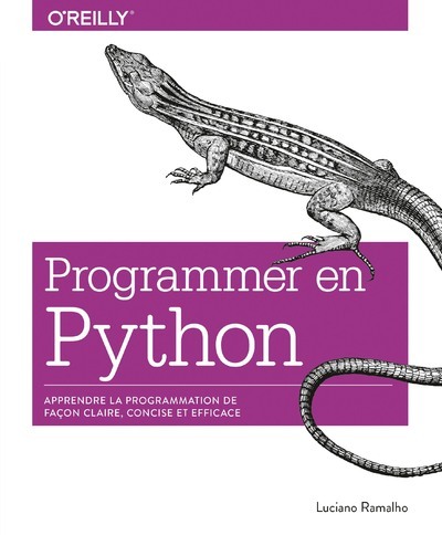 Image de Programmer avec Python