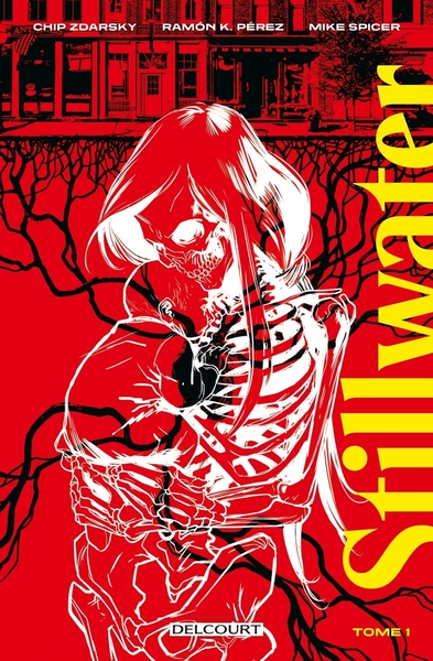 Picture of Stillwater - Tome 01