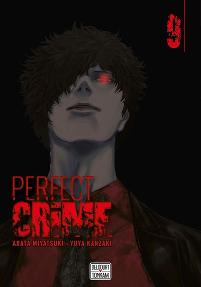 Image de Perfect crime T09