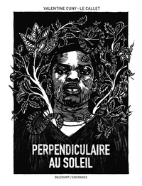 Image de Perpendiculaire au soleil