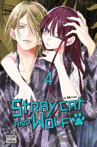 Picture of Stray cat and wolf T04