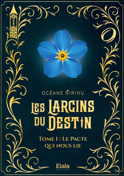 Image de Les Larcins du Destin