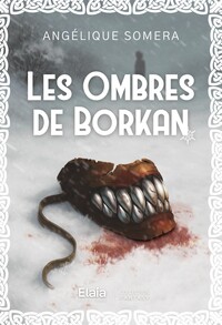 Image de Les Ombres de Borkan