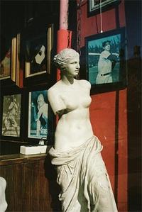 Image de Aaron Stern Madam, Nurses Run /anglais