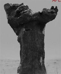 Picture of Double Reality Tom Callemin /anglais