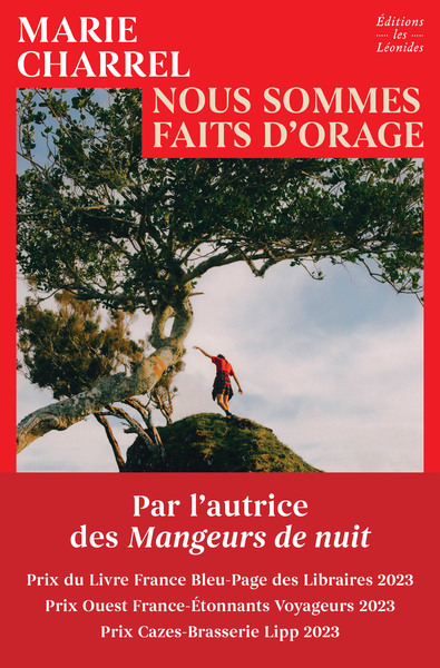 Picture of Nous sommes faits d'orage