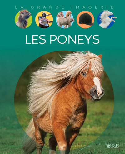 Image de Les poneys