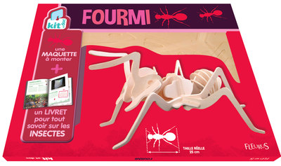 Image de Fourmi