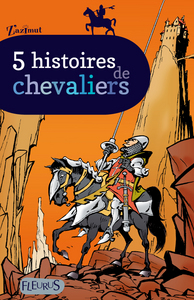 Image de 5 histoires de chevaliers