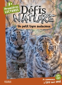 Image de Un petit tigre audacieux