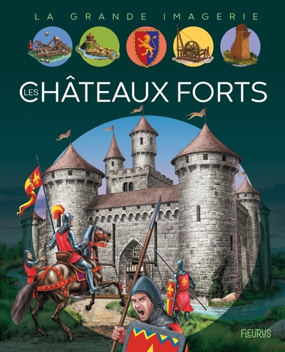 Image de Les châteaux forts