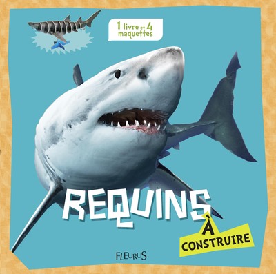 Image de Requins à construire
