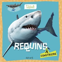 Image de Requins à construire