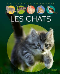 Picture of Les chats