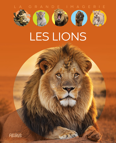 Picture of Les lions